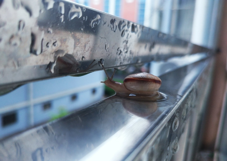 關于立秋的心情感慨 立秋的句子說說怎么發