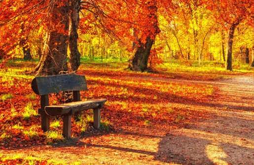 今日立秋說(shuō)說(shuō)心情配圖 今日立秋了新開(kāi)始感言