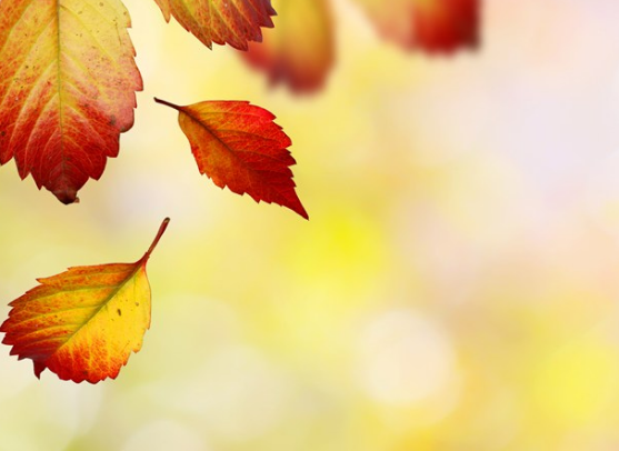 今日立秋說(shuō)說(shuō)心情配圖 今日立秋了新開(kāi)始感言