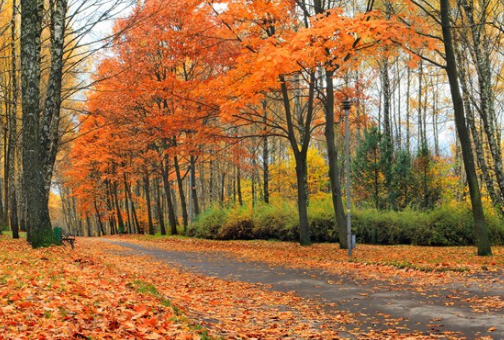 2019立秋心情感受朋友圈說(shuō)說(shuō) 立秋開(kāi)心感想配圖 2019立秋心情感受朋友圈說(shuō)說(shuō) 立秋開(kāi)心感想配圖