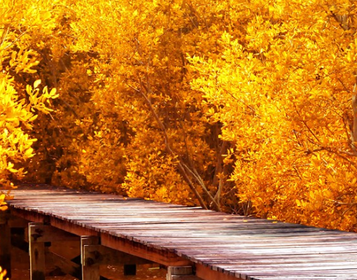 2019立秋心情感受朋友圈說(shuō)說(shuō) 立秋開(kāi)心感想配圖 2019立秋心情感受朋友圈說(shuō)說(shuō) 立秋開(kāi)心感想配圖