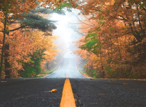 2019立秋心情感受朋友圈說(shuō)說(shuō) 立秋開(kāi)心感想配圖 2019立秋心情感受朋友圈說(shuō)說(shuō) 立秋開(kāi)心感想配圖