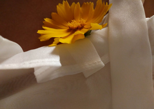 秋天你好句子心情 秋天你好優(yōu)美句子說(shuō)說(shuō) 秋天你好句子心情 秋天你好優(yōu)美句子說(shuō)說(shuō)