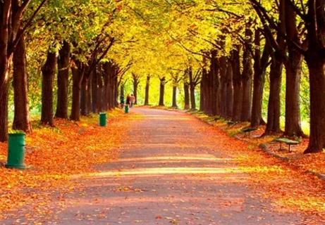 秋天來了朋友圈經典說說2019  秋天來了的配圖文字