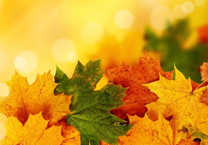 秋天來了唯美心情說說 秋天來了朋友圈心情感言 秋天來了唯美心情說說 秋天來了朋友圈心情感言