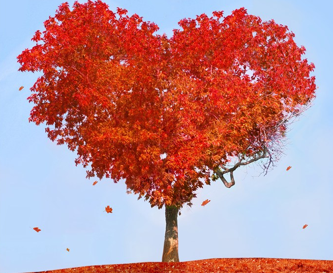 秋天來了唯美心情說說 秋天來了朋友圈心情感言 秋天來了唯美心情說說 秋天來了朋友圈心情感言