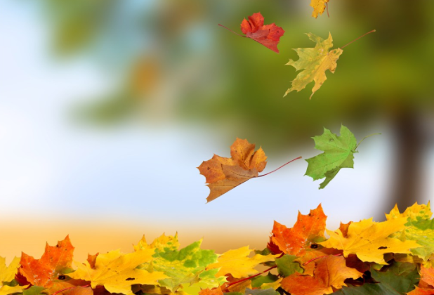 秋天來了怎么發朋友圈說說 秋天來了朋友圈經典句子說說