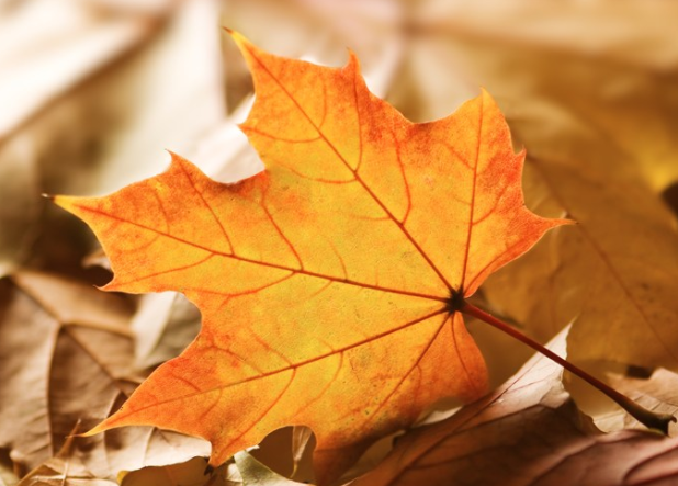 秋天來了怎么發朋友圈說說 秋天來了朋友圈經典句子說說