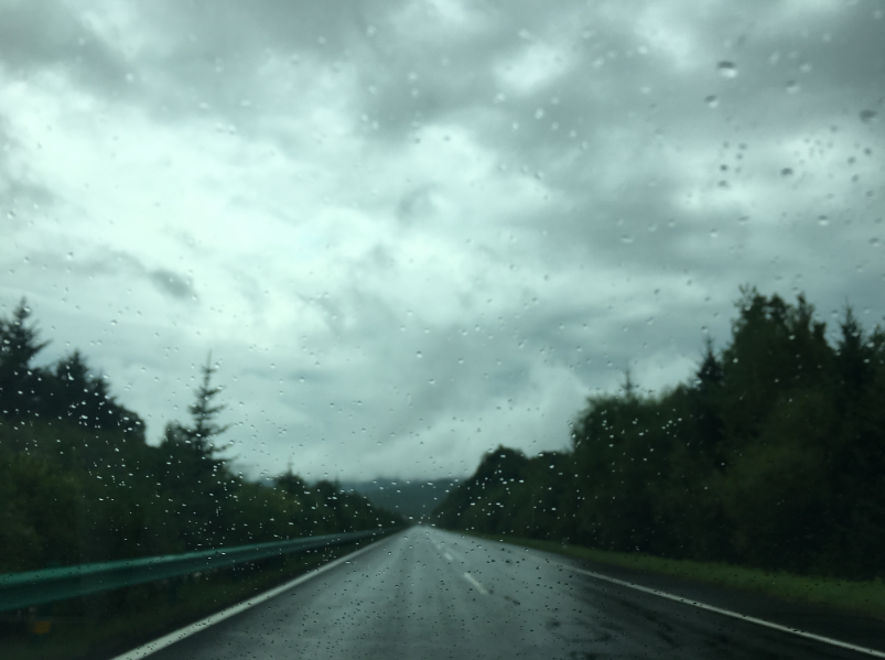 秋天來了簡短句子心情感慨 秋天來了的心情說說