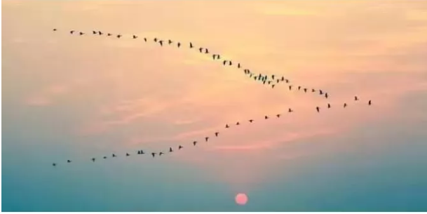 立秋如何注意飲食習(xí)慣 立秋后要注意哪些事情