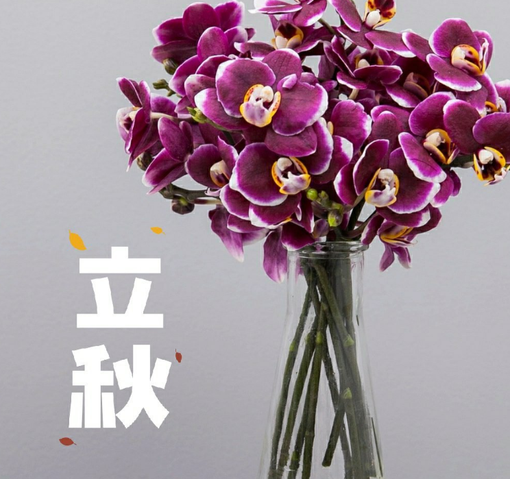 秋天來了簡短句子心情感慨 秋天來了的心情說說