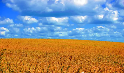 秋天來(lái)了的說(shuō)說(shuō)心情 形容秋天來(lái)了說(shuō)說(shuō)帶圖