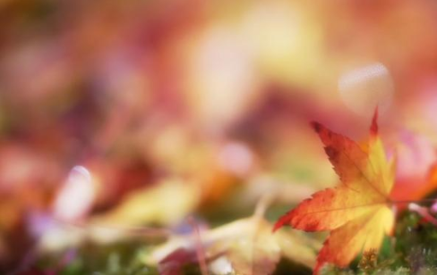 立秋搞笑段子說說 立秋朋友圈搞笑段子