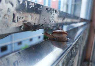 關(guān)于立秋的心情感慨 立秋的句子說(shuō)說(shuō)怎么發(fā)