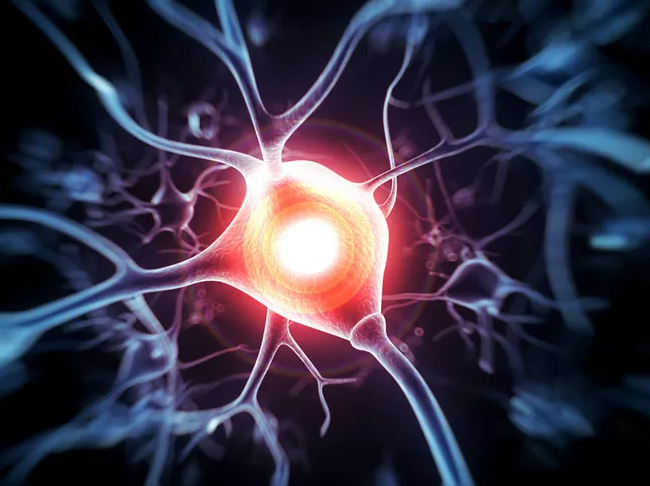 試管嬰兒移植鮮胚還是凍胚好 鮮胚和凍胚有什么區別