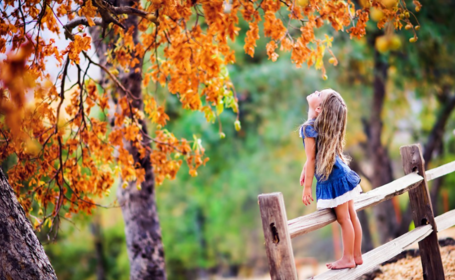 秋天優美句子范文開頭 關于秋天的精彩收尾結尾2019