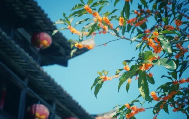 秋天優美句子范文開頭 關于秋天的精彩收尾結尾2019