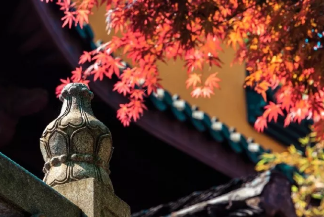 秋天優美句子范文開頭 關于秋天的精彩收尾結尾2019