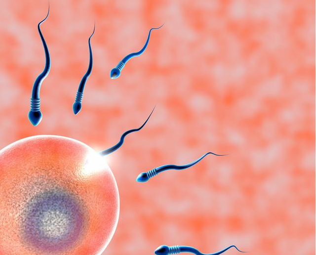 排卵期小腹脹痛是正常的嗎 排卵期有效受孕時間是幾天