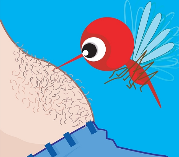 被蚊子咬了之后會不會得傳染病 孩子被蚊子咬了之后如何快速止癢