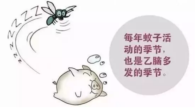 孩子被蚊子咬了之后會得乙腦嗎 如何預防孩子得乙腦