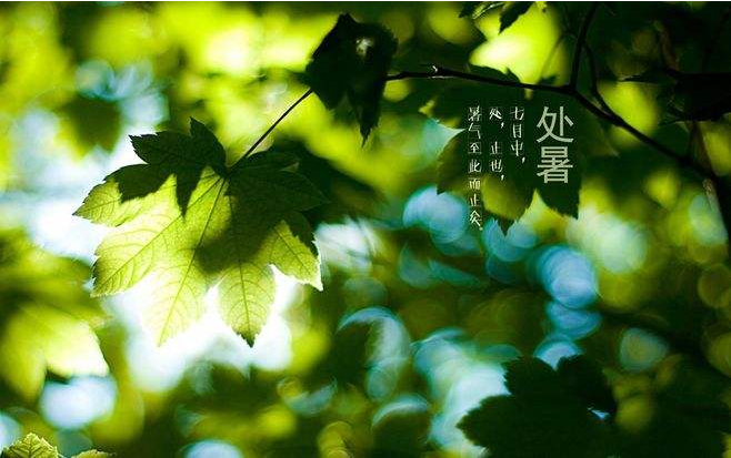 2019今日處暑的說說精選 處暑節(jié)氣朋友圈說說經(jīng)典好聽一句話 2019今日處暑的說說精選 處暑節(jié)氣朋友圈說說經(jīng)典好聽一句話