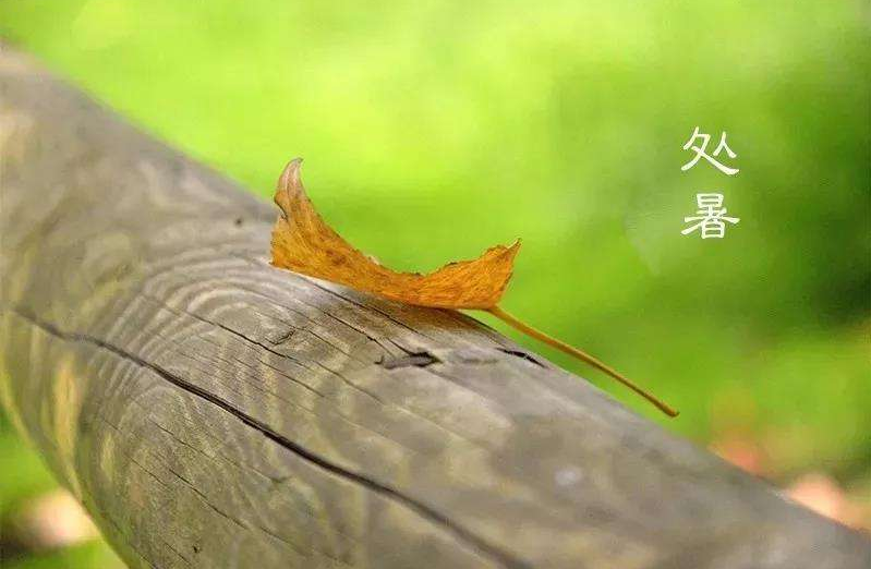 處暑之后天氣還熱嗎 處暑過后是不是就不熱了