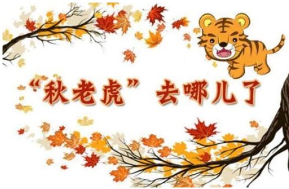 2019秋老虎從什么時候開始 秋老虎指什么 2019秋老虎從什么時候開始 秋老虎指什么