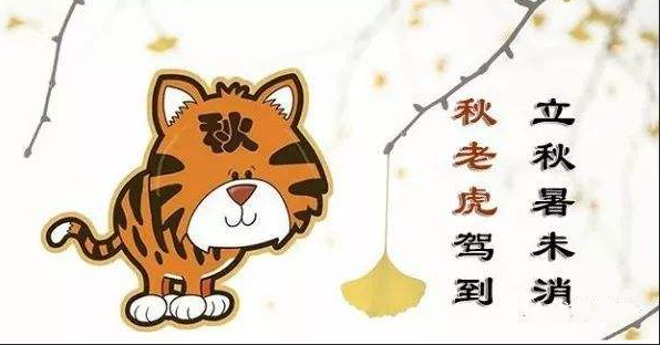 2019秋老虎從什么時候開始 秋老虎指什么 2019秋老虎從什么時候開始 秋老虎指什么