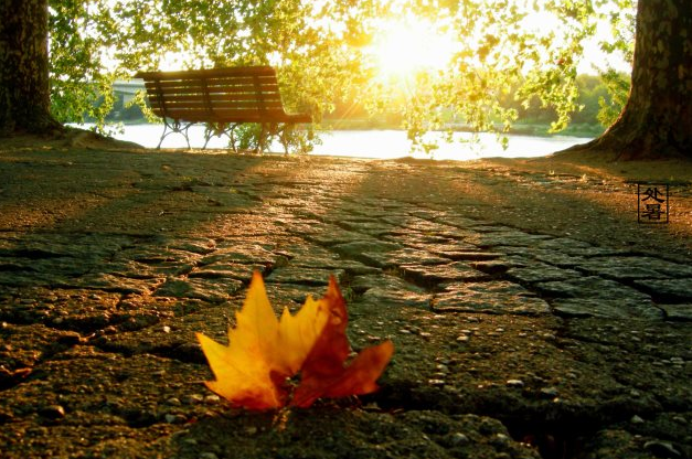 朋友圈關于處暑的說說 處暑心情的創(chuàng)意說說語