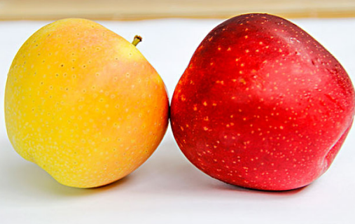 維生素B族種類大全 維生素B作用和功能 維生素B族種類大全 維生素B作用和功能