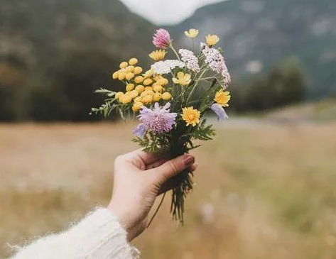 2019處暑節氣祝福語句子 處暑朋友圈問候語大全 2019處暑節氣祝福語句子 處暑朋友圈問候語大全