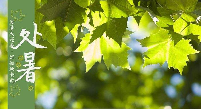 2019處暑出生的女孩好不好 2019處暑出生的女孩如何取名