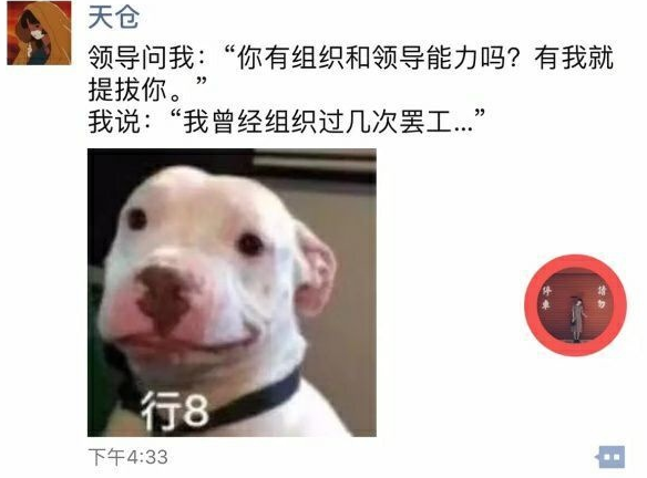 沙雕又可愛的朋友圈文案 沙雕可愛的說說句子