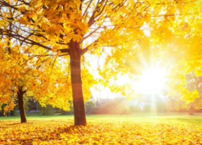 2019秋老虎有多少天 秋老虎期間如何養(yǎng)生 2019秋老虎有多少天 秋老虎期間如何養(yǎng)生