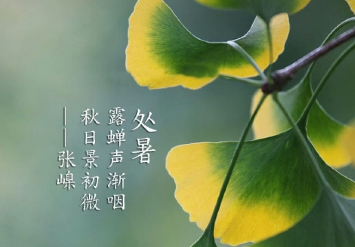 2019今日處暑配圖句子說說朋友圈 今日處暑節氣心情說說短語