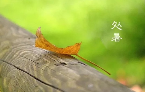 2019今日處暑配圖句子說說朋友圈 今日處暑節氣心情說說短語