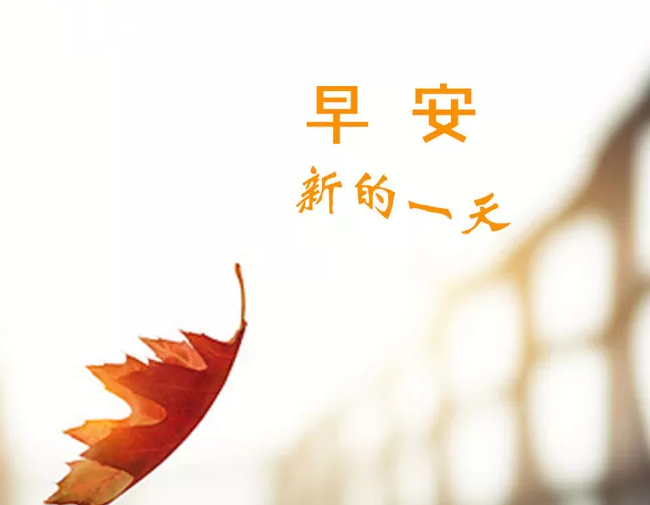 早安問候語簡單一句話 朋友圈早安心語勵(lì)志說說