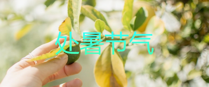 2019今日處暑配圖句子說說朋友圈 今日處暑節氣心情說說短語