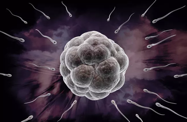 無精癥還能生孩子嗎 無精癥怎么治療 無精癥還能生孩子嗎 無精癥怎么治療