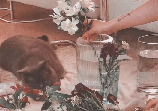 那些甜到炸情話(huà)句子大全 甜美情話(huà)朋友圈說(shuō)說(shuō) 那些甜到炸情話(huà)句子大全 甜美情話(huà)朋友圈說(shuō)說(shuō)