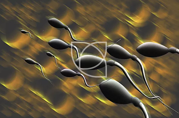 無(wú)精癥能治好嗎 無(wú)精癥的癥狀表現(xiàn)有哪些