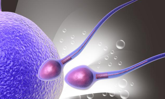 無(wú)精癥能治好嗎 無(wú)精癥的癥狀表現(xiàn)有哪些