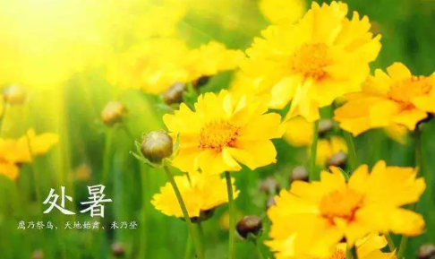 處暑節氣祝福語2019 處暑節氣朋友圈說說