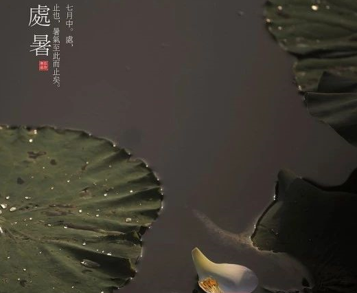 2019處暑節氣怎么發朋友圈 處暑經典問候祝福語