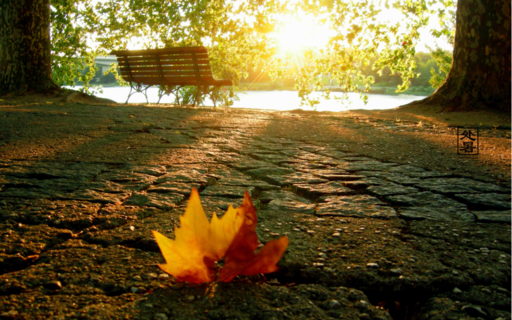 2019今日處暑的個性說說精選 處暑節氣朋友圈說說經典好聽一句話