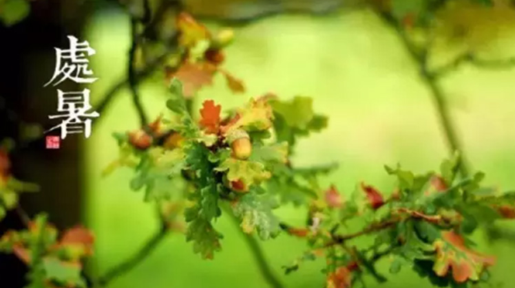 2019今日處暑的個性說說精選 處暑節氣朋友圈說說經典好聽一句話