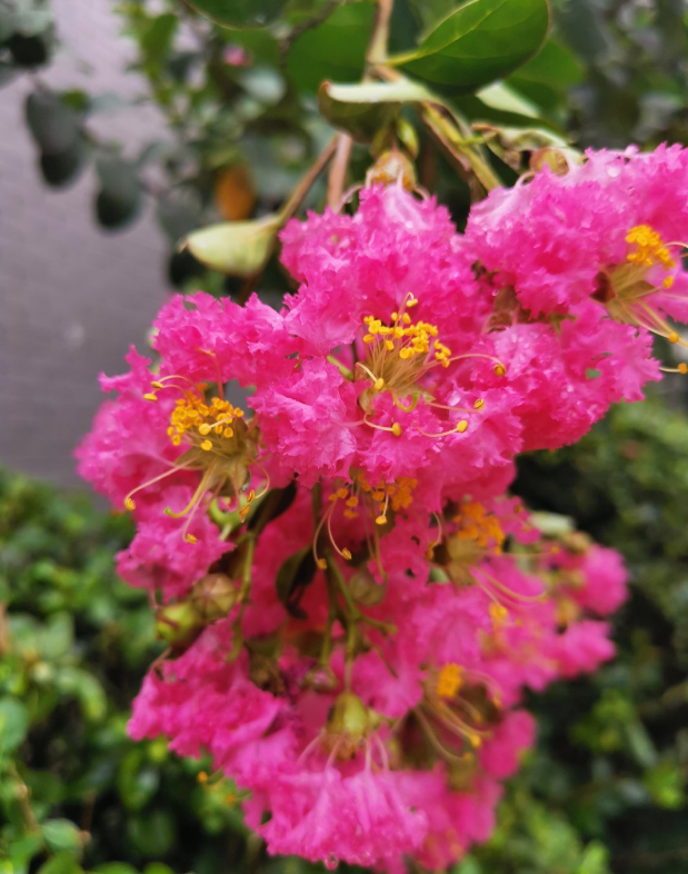 終于涼快了的心情說說 天氣終于涼快了的心情感慨