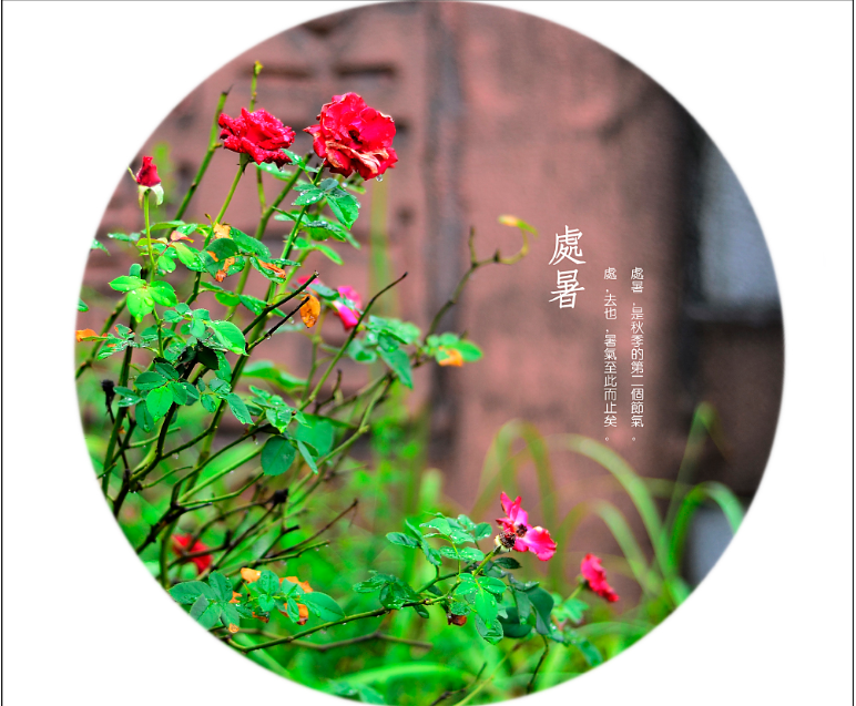 2019最新關于處暑的唯美詩句 2019處暑節氣有關的古詩詞大全