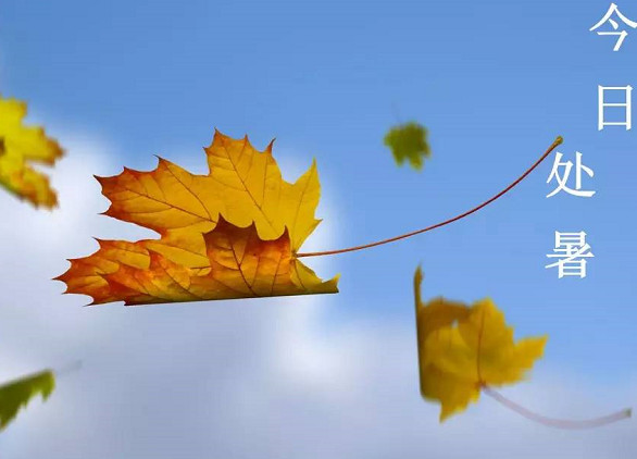 今日處暑節氣心情說說 處暑發朋友圈句子